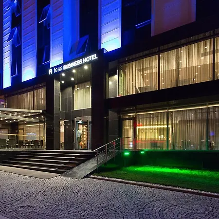 Fesa Business 4* Gebze