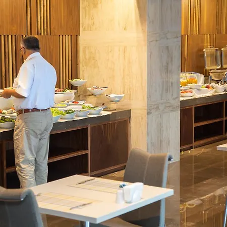 فيسا للأعمال